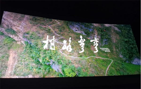 淮南市糧食和物資儲備局組織觀看影片《村路彎彎》