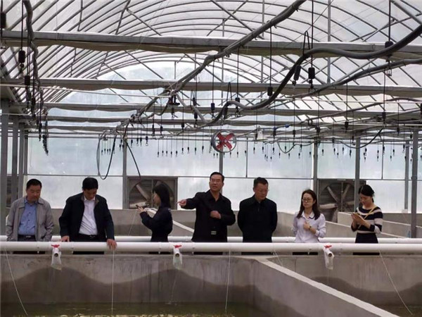 安徽淮南國家農(nóng)業(yè)科技園區(qū)扎實(shí)做好園區(qū)建設(shè)評(píng)估工作