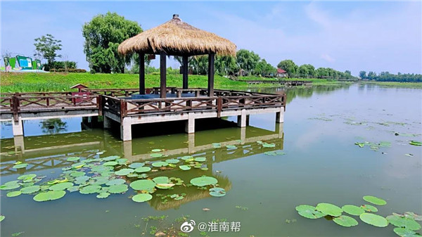 【圖說淮南】——初夏雨后的焦崗湖，暖風徐徐！