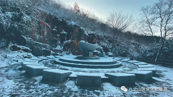 【圖說淮南】——雪來了，你期待嗎？
