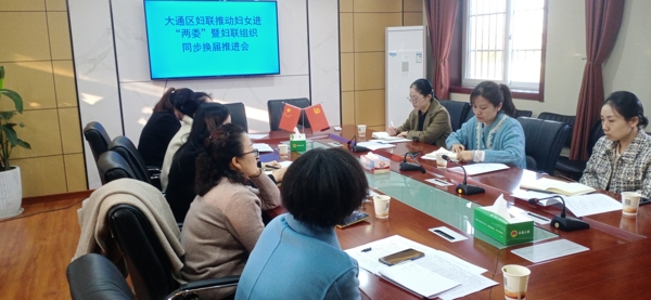 淮南市大通區(qū)婦聯(lián)推動?jì)D女進(jìn)“兩委”暨婦聯(lián)組織同步換屆推進(jìn)會