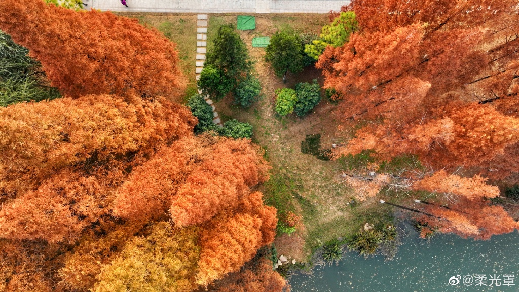 【圖說淮南】——淮南龍湖公園的冬天是什么顏色的呢？