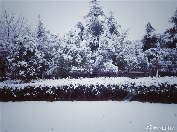 【圖說淮南】——2022年淮南第一場雪！來的遲嗎？