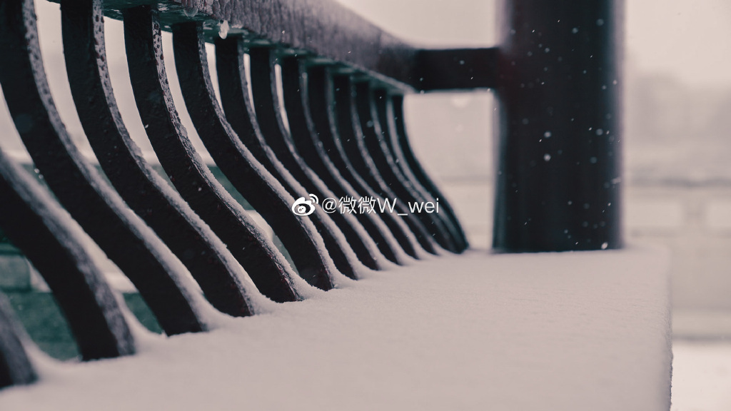 【圖說淮南】——太棒了！淮南龍湖公園的雪景你看過嗎！