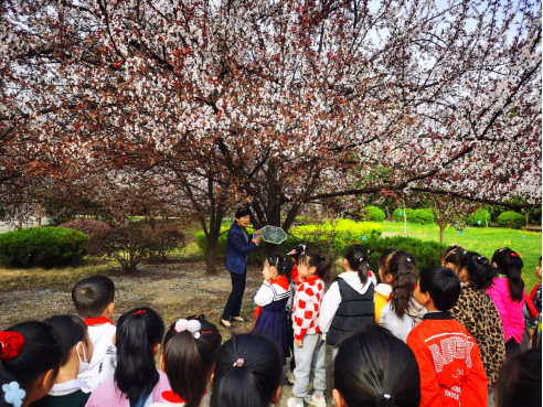 淮南師范附屬小學(xué)十九中校區(qū)開展校園尋春活動(dòng)