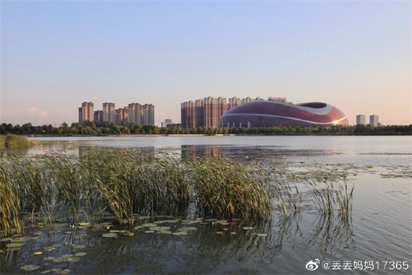【圖說淮南】——中央公園夏日納涼好去處