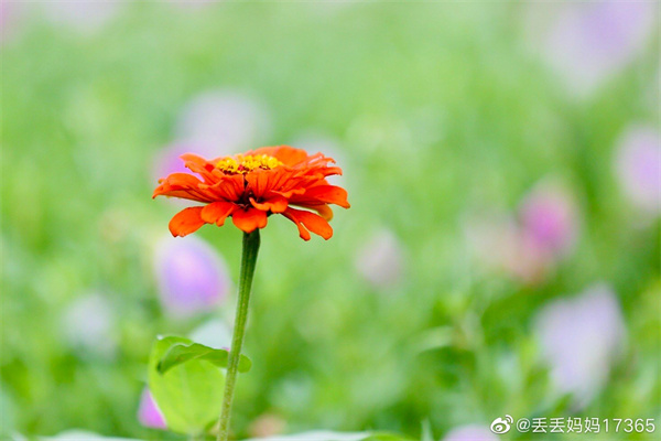 【圖說淮南】——今日芒種，愿你“芒”有所獲，“種”有所得
