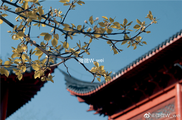 圖說淮南——八公山白塔寺